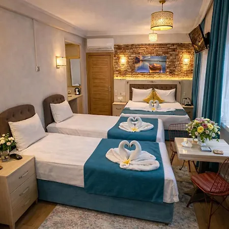 Galaxy Sultanahmet 호텔 3*